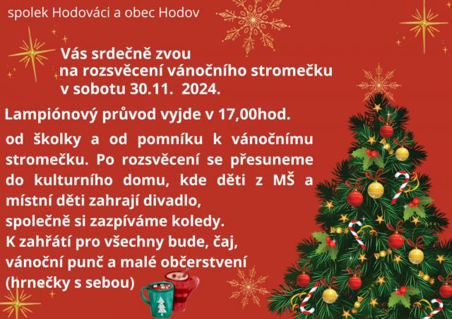 Vánoční strom.jpg